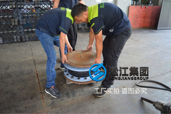 酒店配套水泵進(jìn)口專用可繞曲橡膠軟連接,熱水